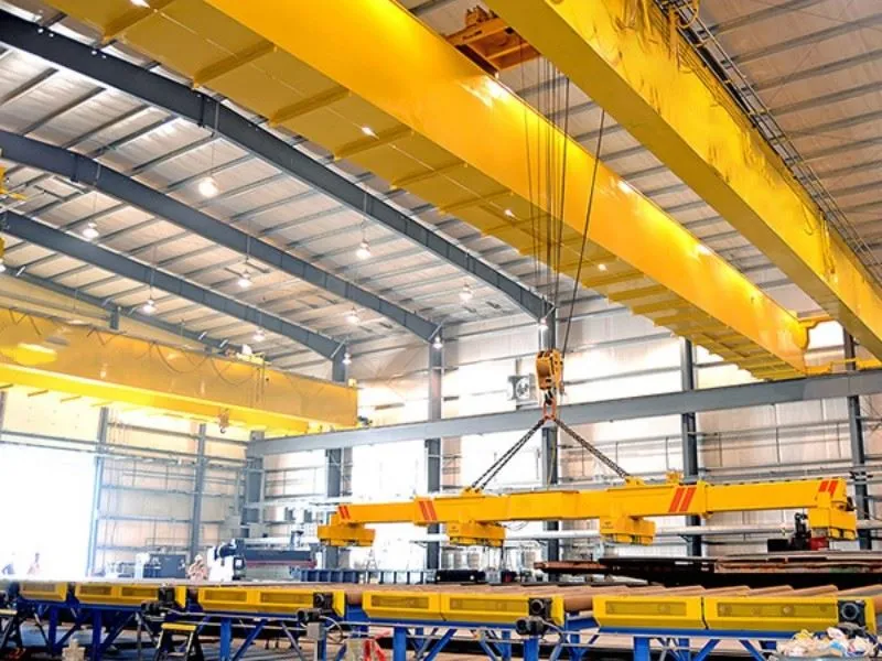 5 ton bridge crane（4）