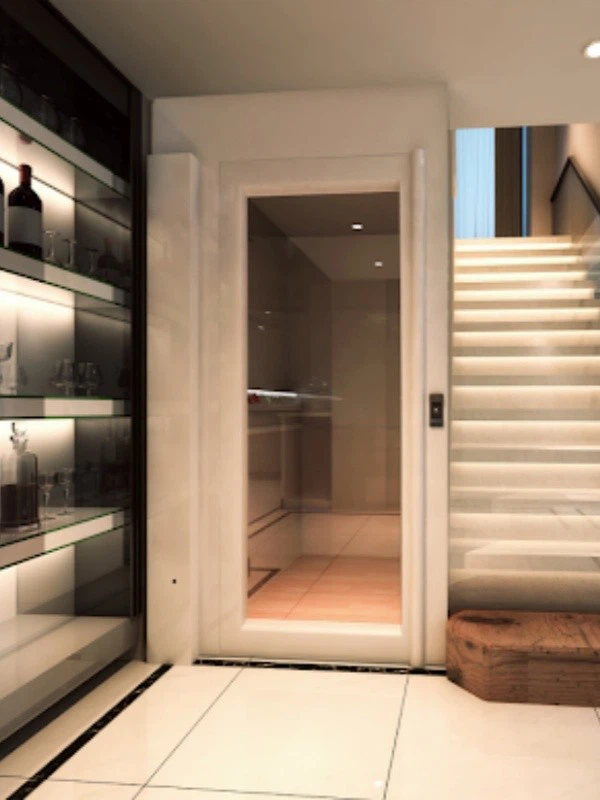 Vertical Small Home Elevator（2）